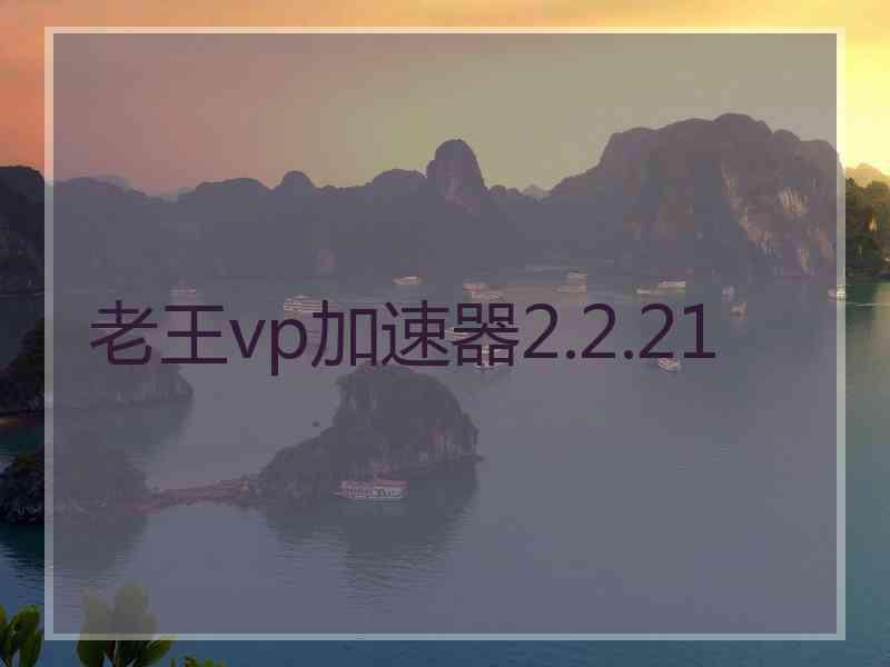老王vp加速器2.2.21