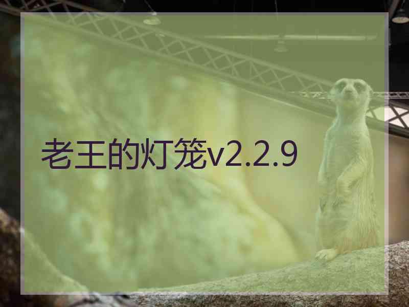 老王的灯笼v2.2.9