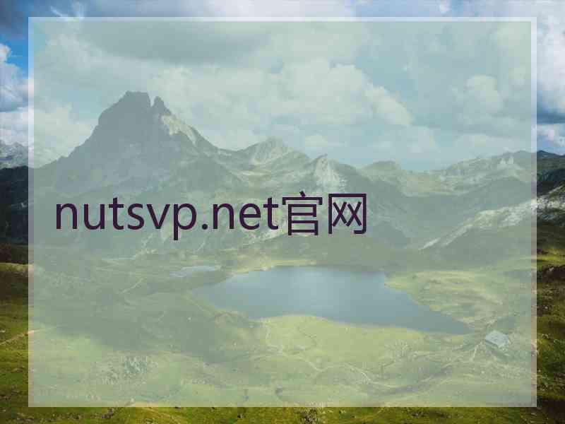 nutsvp.net官网
