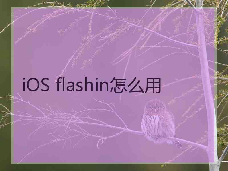 iOS flashin怎么用