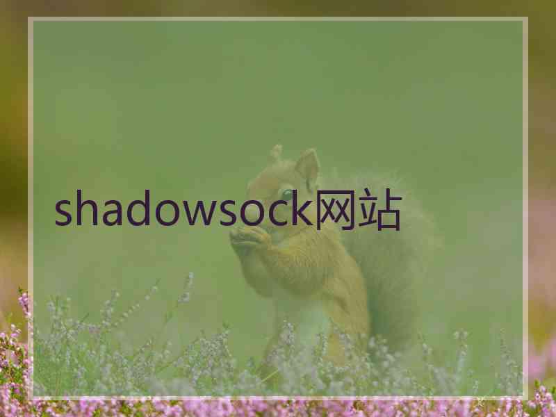 shadowsock网站