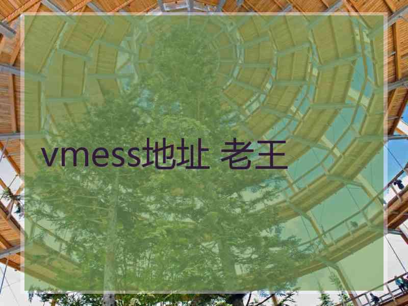 vmess地址 老王