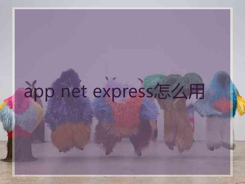 app net express怎么用