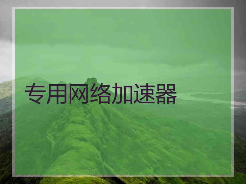 专用网络加速器