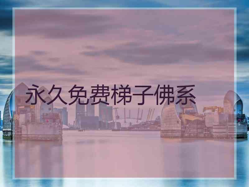 永久免费梯子佛系