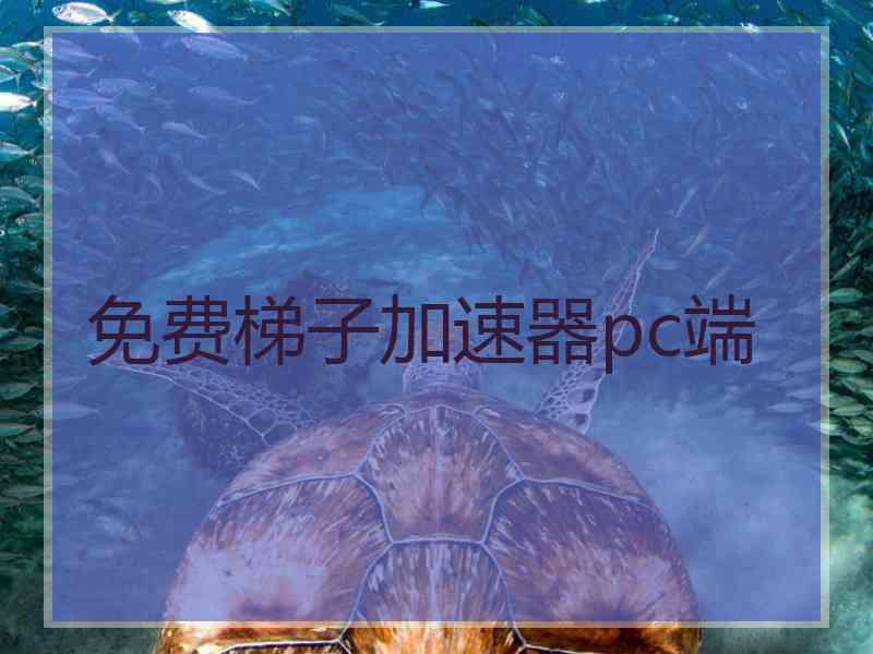 免费梯子加速器pc端