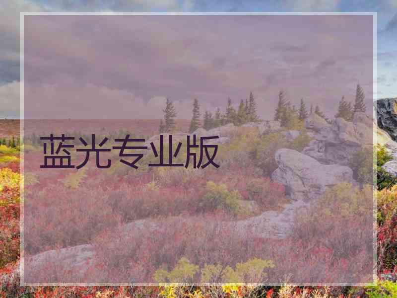 蓝光专业版