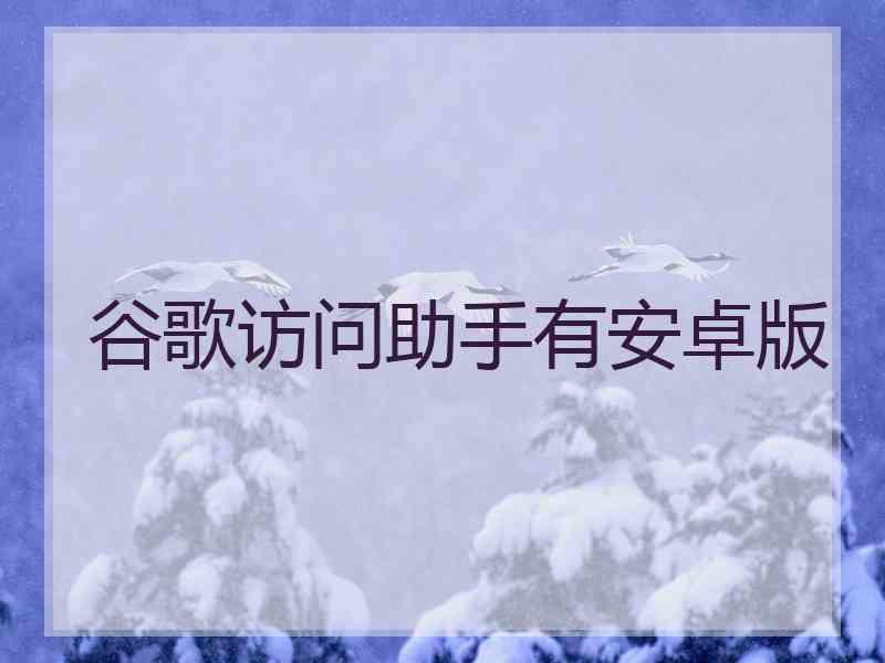 谷歌访问助手有安卓版