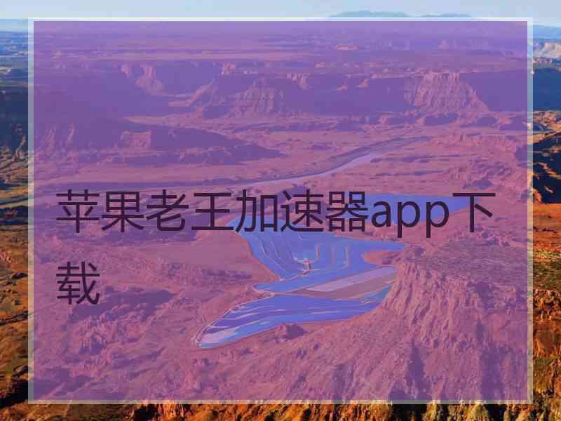 苹果老王加速器app下载