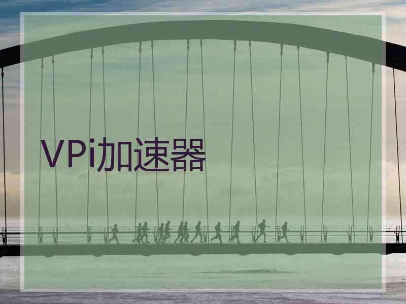 VPi加速器