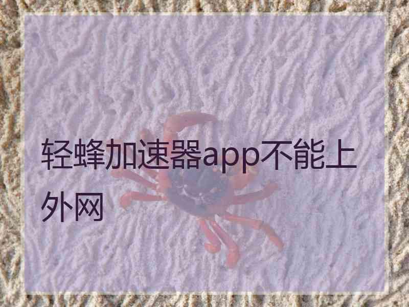 轻蜂加速器app不能上外网