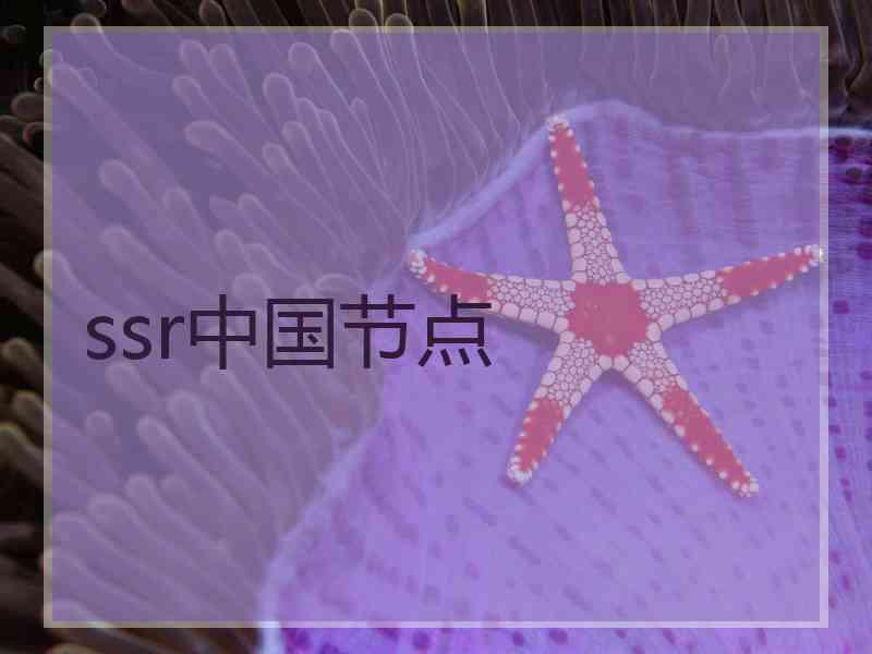 ssr中国节点