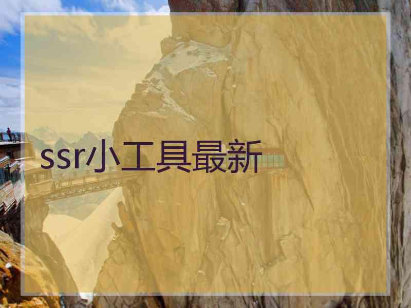 ssr小工具最新