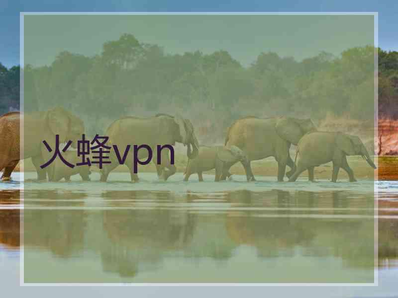 火蜂vpn