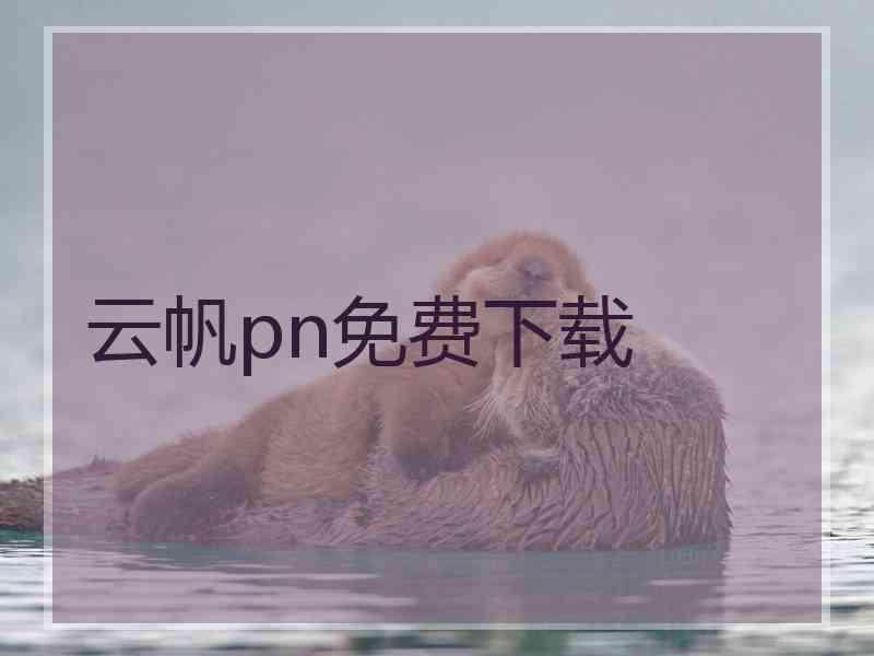 云帆pn免费下载