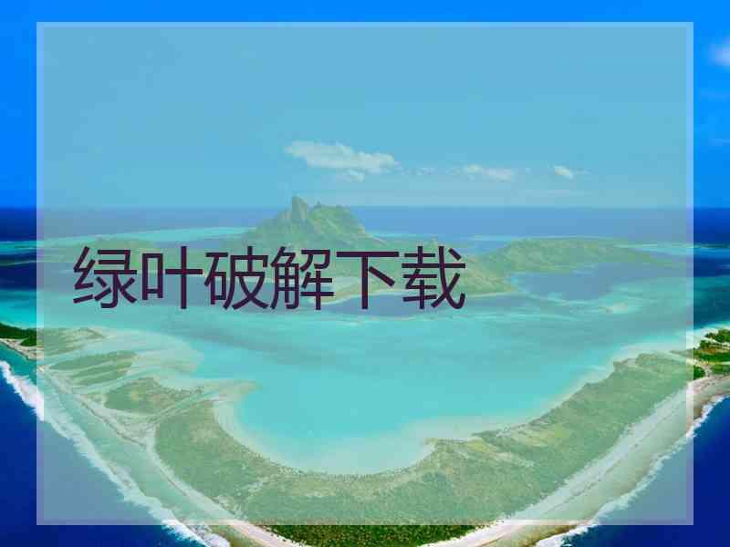 绿叶破解下载