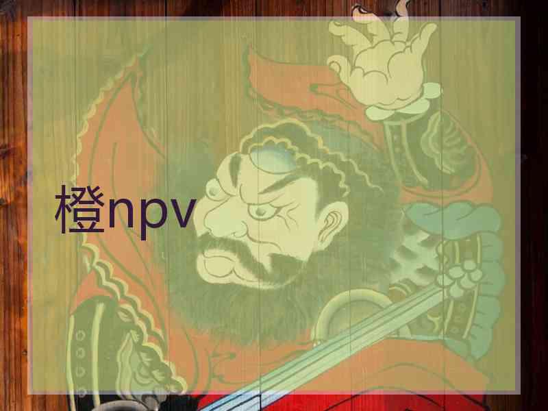 橙npv