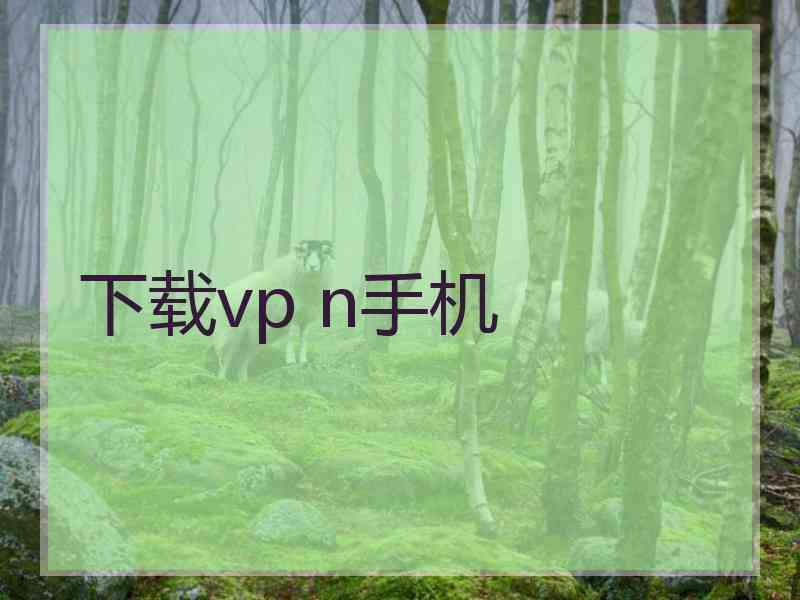 下载vp n手机