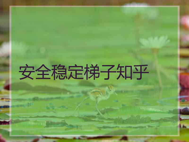 安全稳定梯子知乎