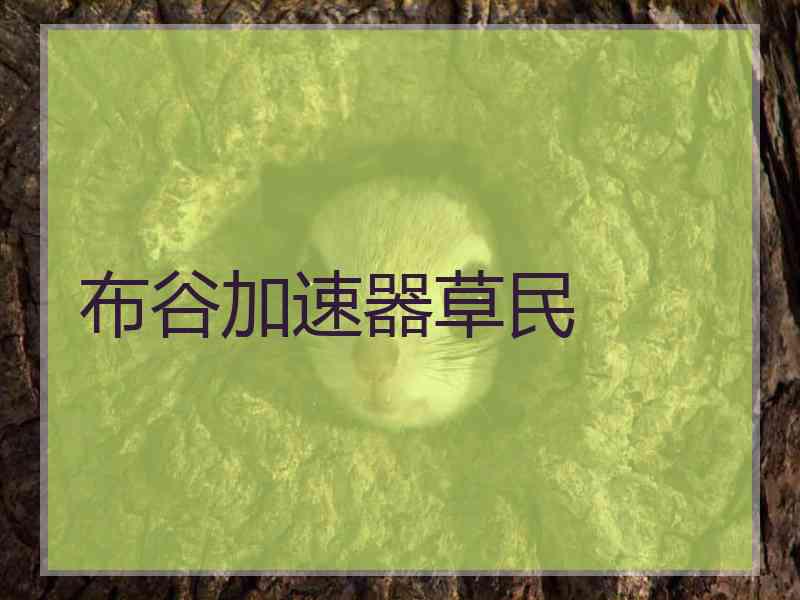 布谷加速器草民