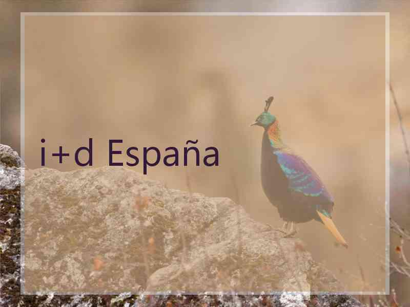 i+d España