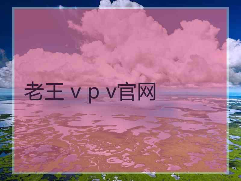 老王 v p v官网