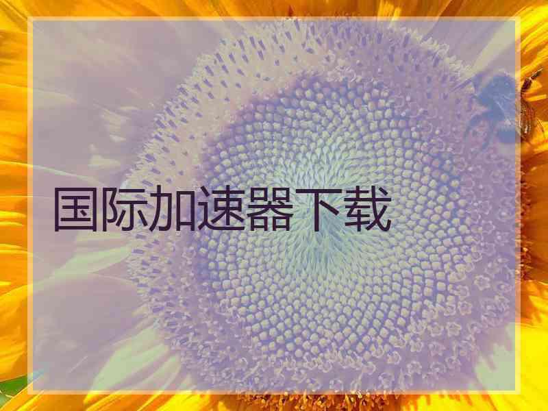 国际加速器下载