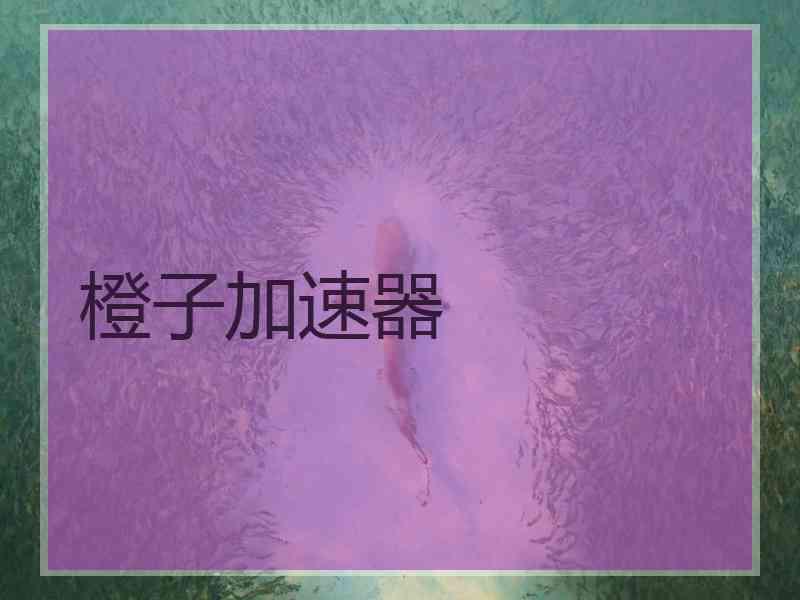 橙子加速器