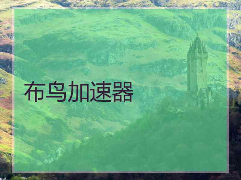 布鸟加速器