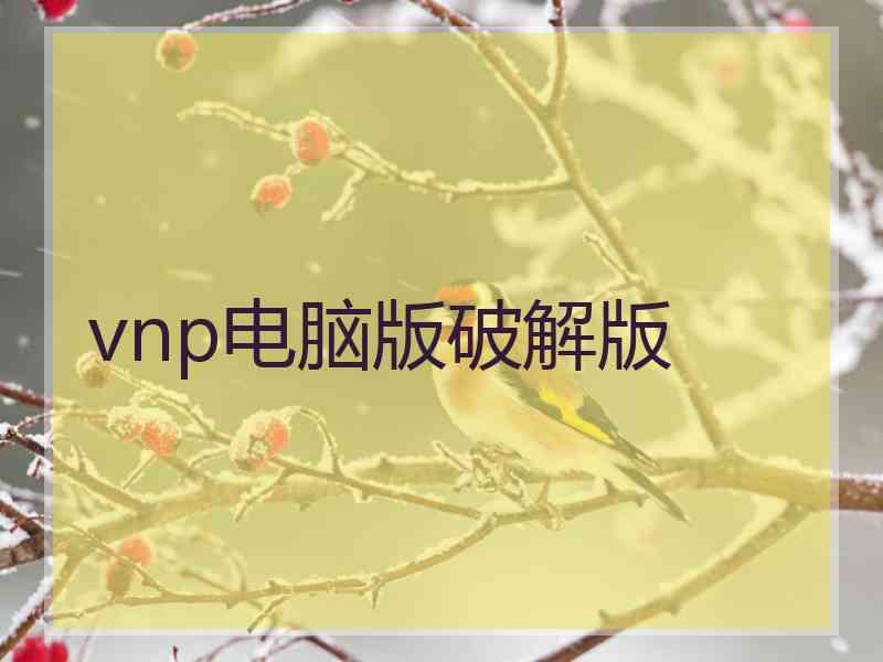 vnp电脑版破解版