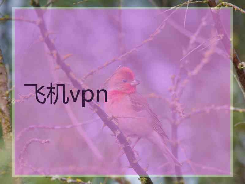 飞机vpn
