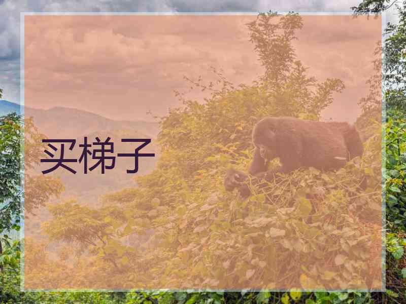 买梯子