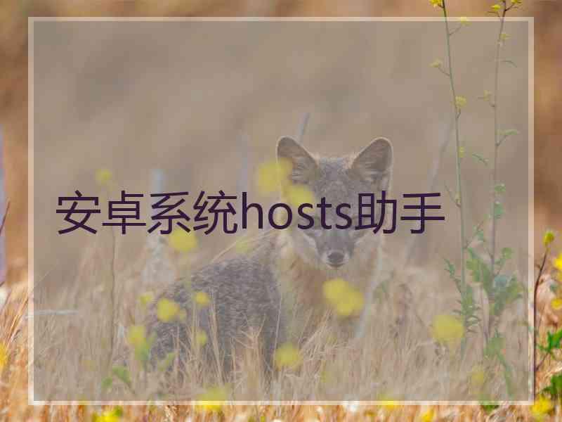 安卓系统hosts助手