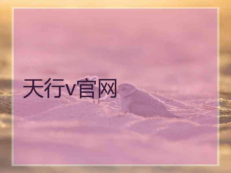 天行v官网