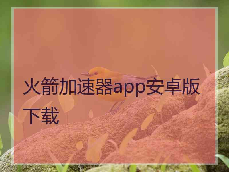 火箭加速器app安卓版下载