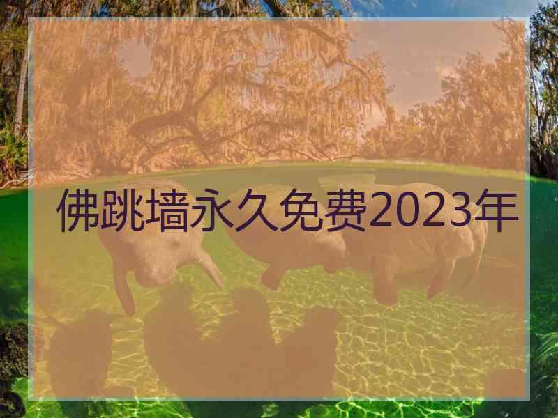 佛跳墙永久免费2023年