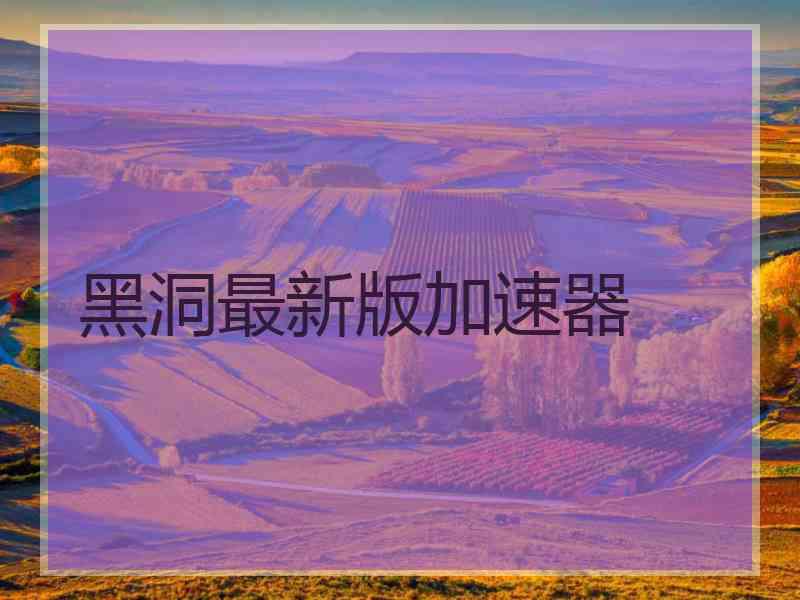黑洞最新版加速器
