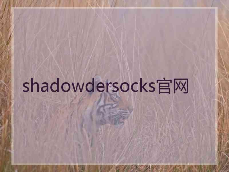 shadowdersocks官网