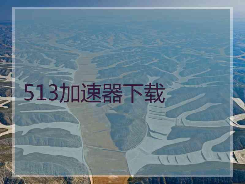 513加速器下载