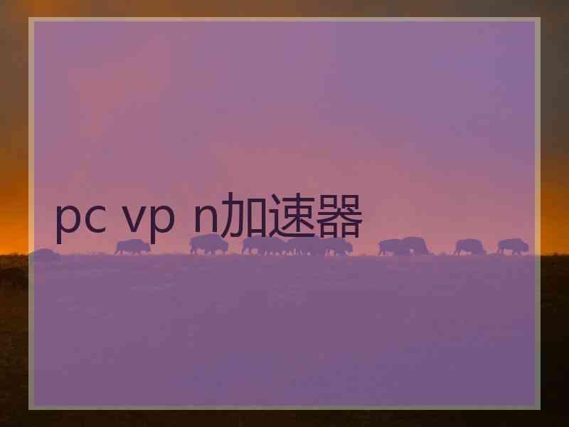 pc vp n加速器