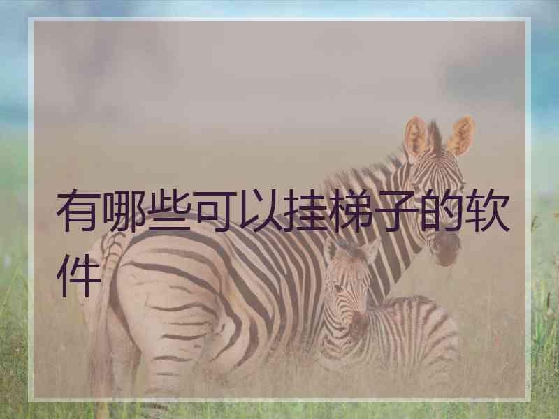 有哪些可以挂梯子的软件
