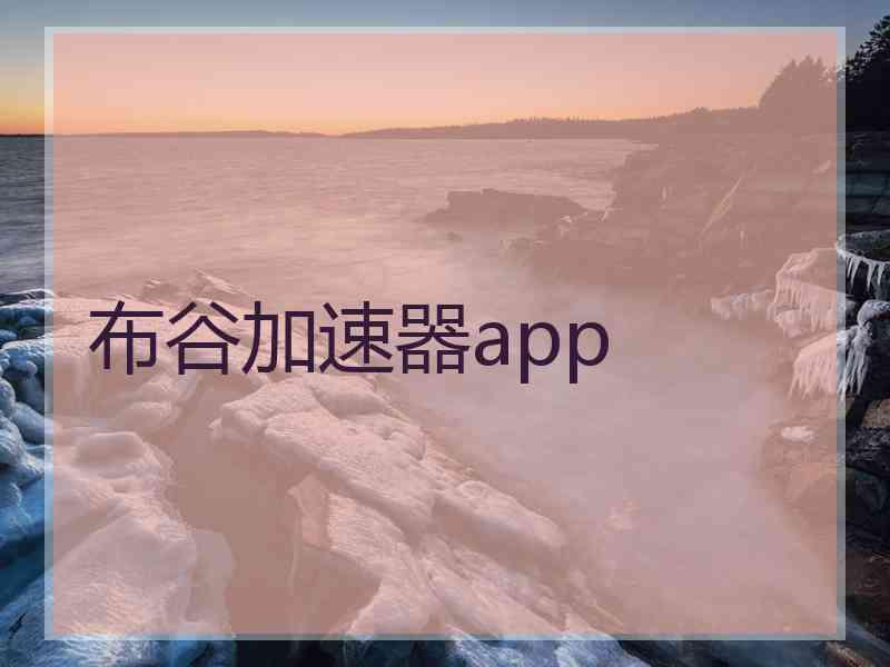 布谷加速器app