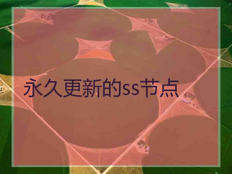 永久更新的ss节点