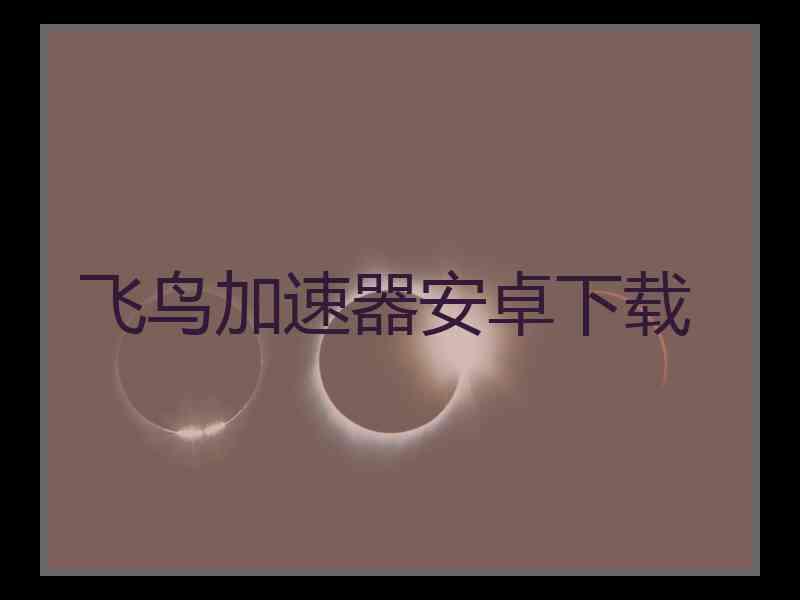 飞鸟加速器安卓下载