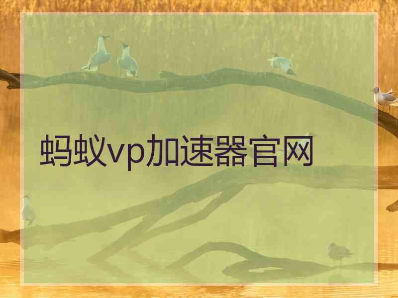 蚂蚁vp加速器官网
