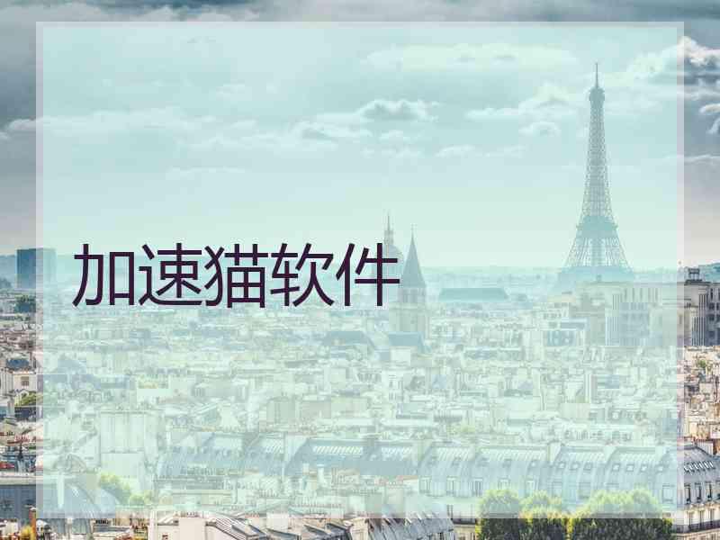 加速猫软件