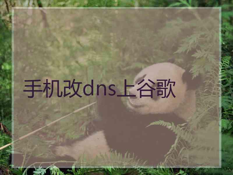 手机改dns上谷歌