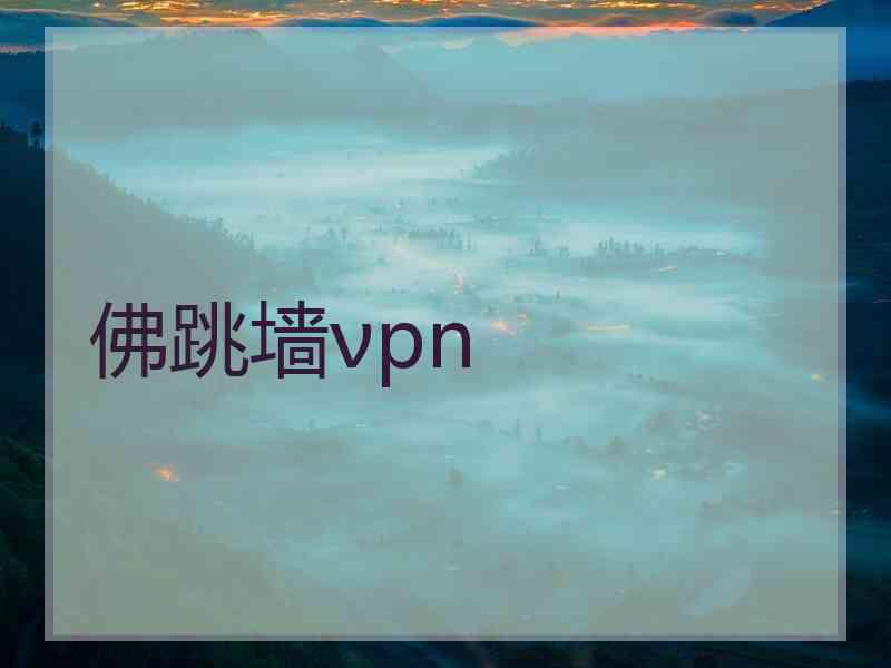 佛跳墙νpn