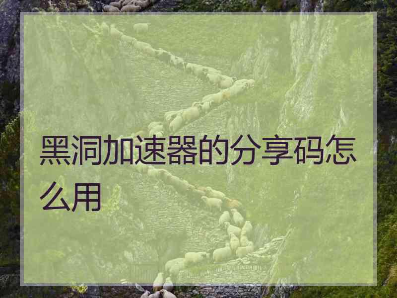 黑洞加速器的分享码怎么用