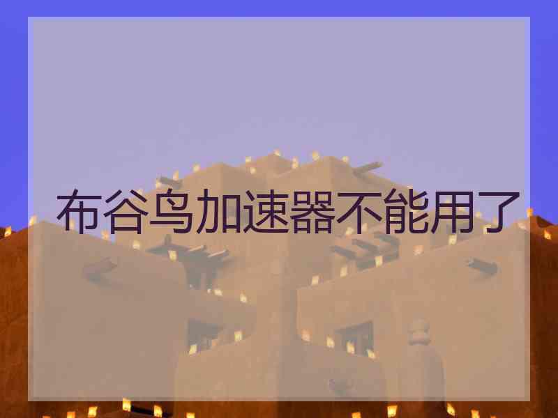 布谷鸟加速器不能用了